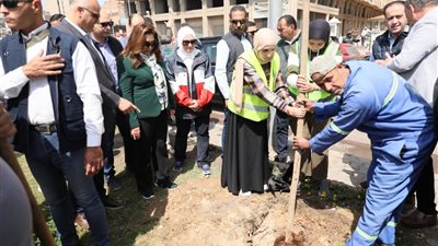 زراعة 9460 شجرة لتعزيز الاستدامة البيئية وتحسين جودة الهواء بالأسكندرية