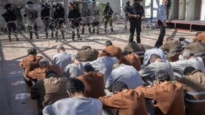 حفيظ دراجي: إعدام الأسرى الفلسطينيين يذبح الطفولة ويقتل القلب مرتين  