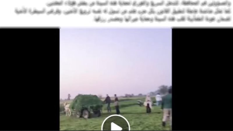 جانب من الواقعة 