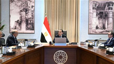 رئيس الوزراء يستعرض خطة إضافة مشروعات طاقة جديدة ومتجددة على الشبكة القومية