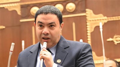 برلماني يتقدم باقتراح لإعفاء أو تخفيض غرامات زراعة الأرز 