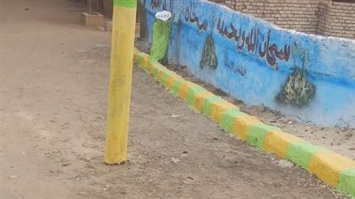 حملة تجميل وإنارة بقرى نجع حمادي ضمن مبادرة 