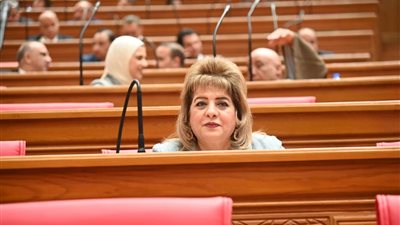 طلب إحاطة للحكومة بسبب تزايد هجمات الكلاب الضالة على المواطنين والأطفال