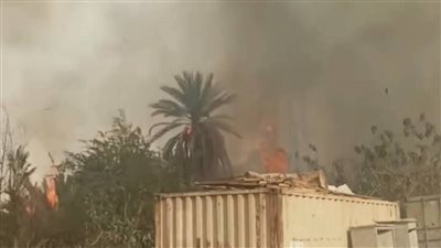 النار حاصرت النخيل وهددت البيوت.. حريق ضخم يهز إسنا واستنفار بـ5 سيارات إطفاء 