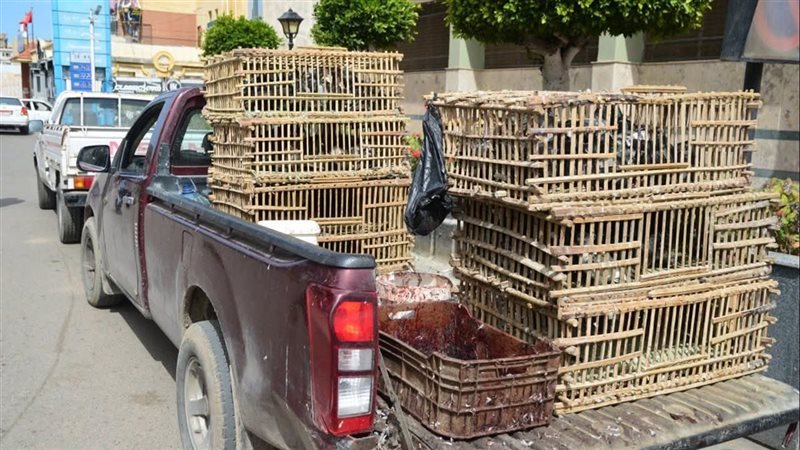 ضبط سيارتين للمنظفات