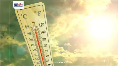 حالة الطقس غدا.. شبورة كثيفة تضرب هذه المناطق وتحذيرات رسمية للسائقين