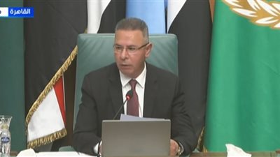  الأمين العام المساعد لجامعة الدول: فلسطين قضية لا تغيب عن الضمير العربي