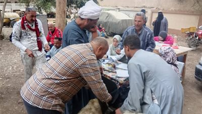 بيطري سوهاج تسلم 298 رأس أغنام للمستفيدين بقرى المراغة وساقلتة