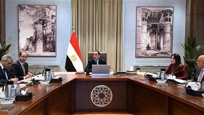 مدبولي يتابع تحلية المياه وتوطين الصناعة.. والإسكان: ترشيد الطاقة 40%