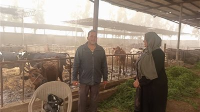 بيطري دمياط تواصل تنفيذ الحملة القومية لتحصين الماشية ضد مرض الجلد العقدي