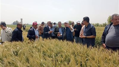 بتكليفات من 