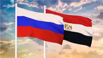 مساعد وزير الخارجية الأسبق: تقارب القاهرة وموسكو يعكس شراكة قوية في عدة مجالات