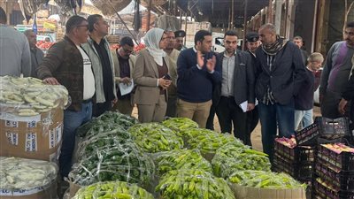 حملة مكبرة لضبط الأسواق بسوق الجملة ببنها لمواجهة التلاعب في أسعار الخضروات