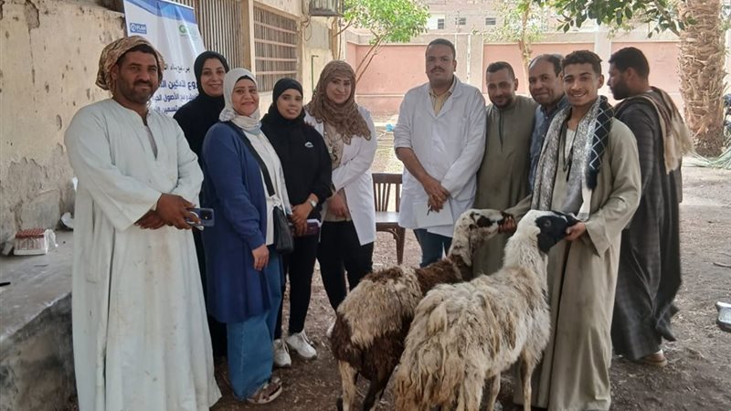 صورة واقعيه