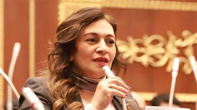 مجلس الشيوخ يبحث دمج ذوي الإعاقة بسوق العمل وتحويلهم لقوة إنتاجية