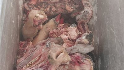 محافظ أسيوط: ضبط لحوم فاسدة وتحرير 219 محضرًا تموينيًا خلال 3 أيام