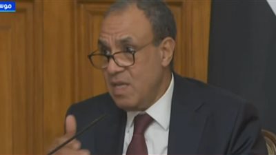وزير الخارجية: مصر تتحرك مع روسيا كشريك دولي لخفض التصعيد بالمنطقة