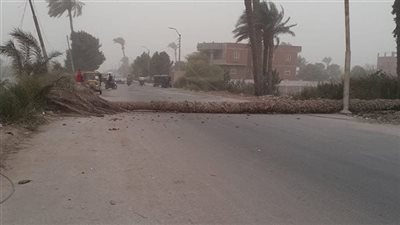 مصرع طفلين أبناء عمومة إثر سقوط نخلة عليهما بسبب سوء الأحوال الجوية بأسيوط