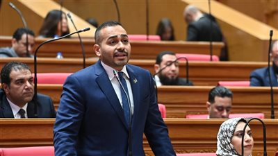 برلماني يقدم طلب إحاطة الاستراتيجية الصناعية مع أزمة الطاقة 