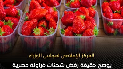 الحكومة تنفي شائعات رفض شحنات الفراولة المصرية وتؤكد جودتها