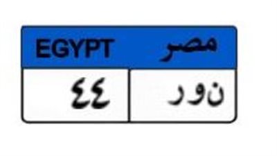 بمشاركة متزايدين فقط.. لوحة «نور 44» تقترب من نصف مليون جنيه