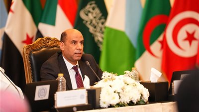 رداد: نعمل على توحيد المواقف العربية في المحافل الدولية وتعزيز التنسيق