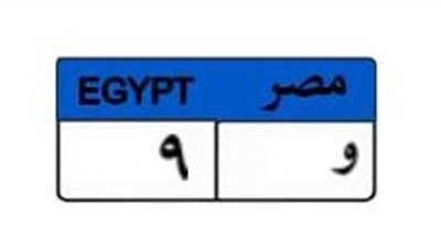 صراع الملايين.. لوحة «و 9» تصل لـ مليون و950 ألف جنيه قبل ساعات من غلق المزاد