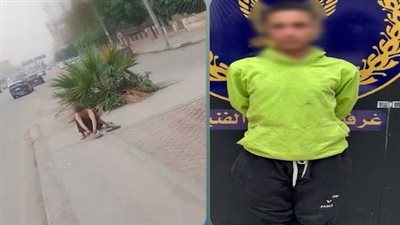 القبض على عامل ظهر في فيديو تحت تأثير المخدرات بمصر الجديدة