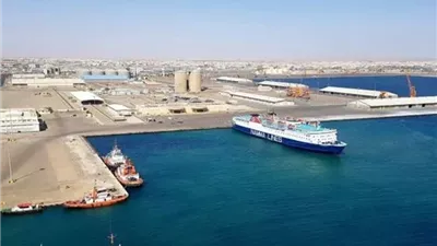 حركة الموانئ.. تداول 5800 طن بضائع بميناء نويبع في جنوب سيناء