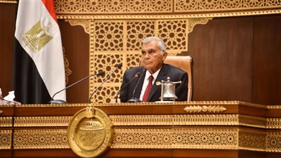 رئيس مجلس الشيوخ يهنئ النائبة أميرة صابر بانتخابها في المحافل الدولية