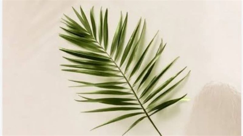 محافظة القاهرة تهنئ