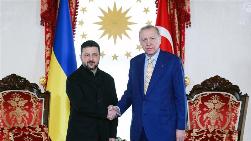 أردوغان وزيلينسكي