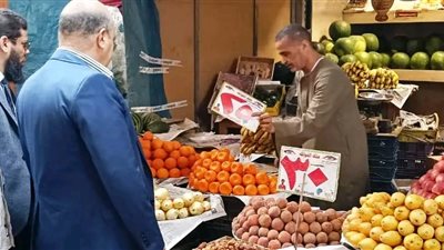 حملات مكثفة بأسوان لضبط الأسعار وغلق محلات ضمن مبادرة خفض أسعار اللحوم