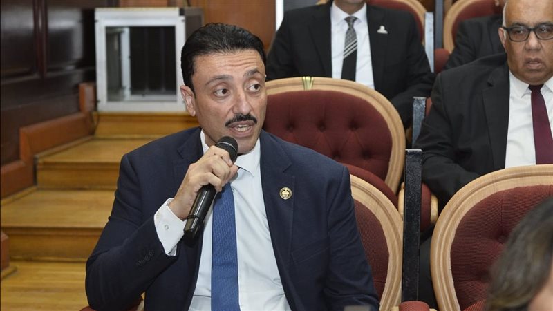 النائب محمد رزق 