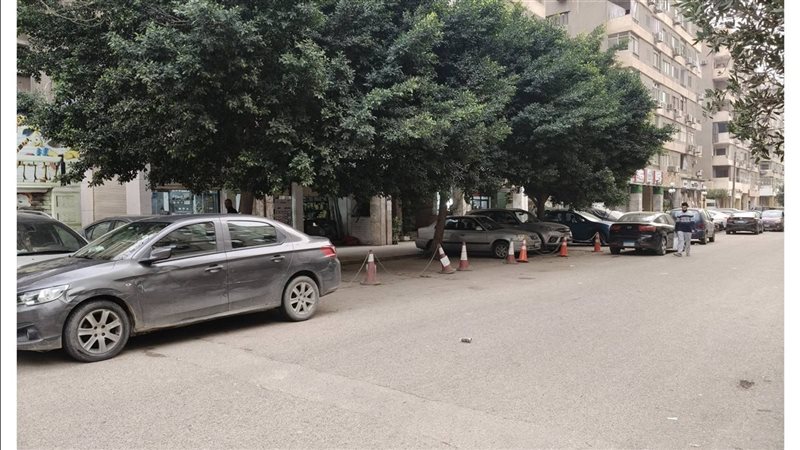 النزهة الجديده 