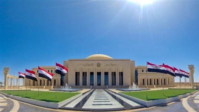 النائبة ايرين سعيد: قانون الإدارة المحلية يتصادم مع الدستور