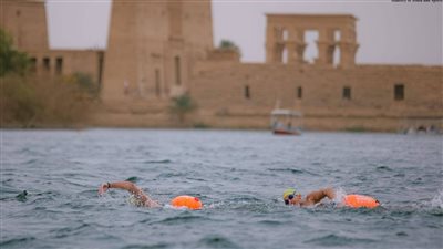 أسوان تتألق عالميا.. 1000 سباح من 24 دولة يشاركون في مهرجان «أكوامان» | فيديو