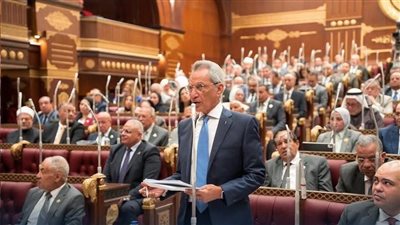 بمشاركة وزير المجالس النيابية.. الشيوخ يوافق على قانون حماية المنافسة 