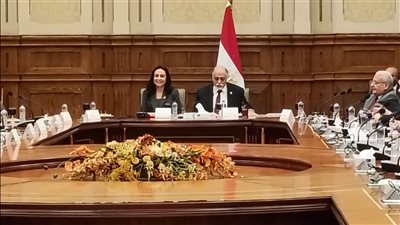  لجنة حقوق الإنسان والتضامن بالشيوخ تستعرض قوافل دعم الأشقاء العرب
