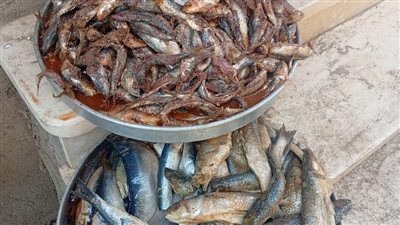 ضبط 2.5 طن دقيق مدعم قبل بيعه في السوق السوداء بالمنوفية