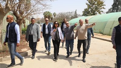 وزيرة التنمية المحلية تتفقد المشتل المركزي للوزارة بالقاهرة الجديدة 