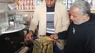 حملات رقابية لحماية الثروة الحيوانية بالبحيرة وضبط 350 عبوة أدوية بيطرية 