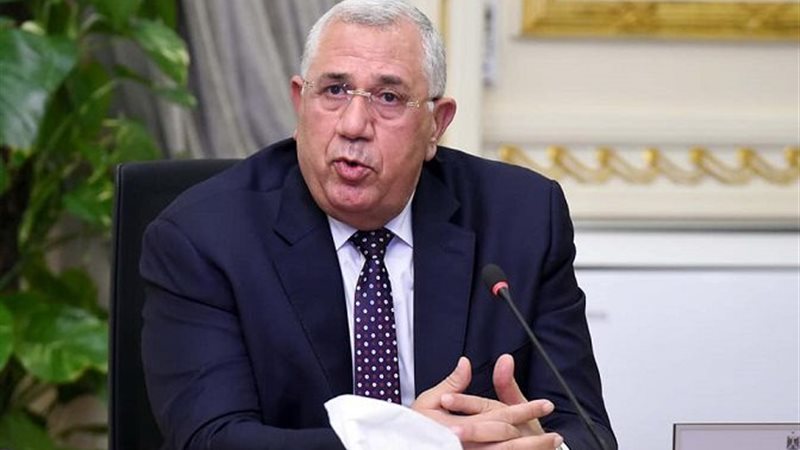 النائب السيد القصير