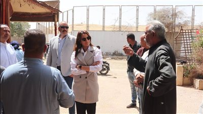 لرفع كفاءة النظافة.. حملات توعية للأسطبلات وتفعيل منظومة رفع المخلفات بالجيزة