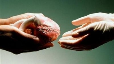 ما حكم التبرع بالأعضاء بعد الموت؟ .. دار الإفتاء توضح 