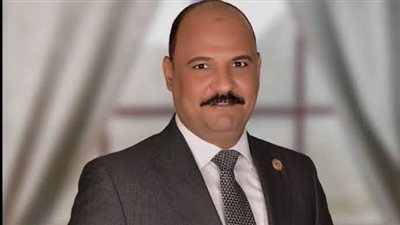 برلماني: الدور المصري في تعليق العمليات العسكرية بين واشنطن وطهران 