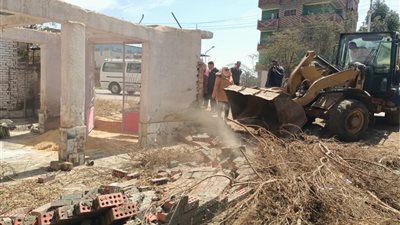 محافظ الغربية يتابع إزالة التعديات على الأراضي الزراعية وأملاك الدولة 