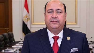 برلماني : مصر بذلت جهودا حثيثة لوقف التصعيد العسكري بين واشطن وطهران  