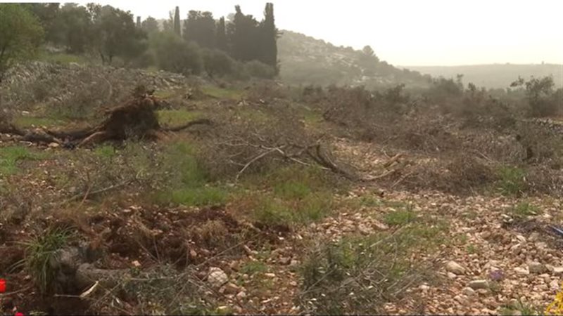 الأراض الفلسطينية
