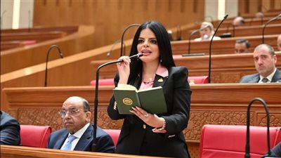 زينب بشير: مصر قامت بدور محوري فى وقف الحرب بين واشنطن وطهران وحماية المنطقة 